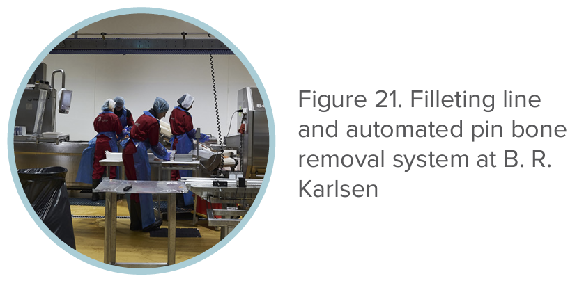 Figure 21. Filleting line and automated pin bone removal system at b. R. Karlsen